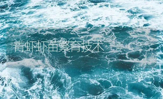 青虾虾苗繁育技术 | 海水养殖