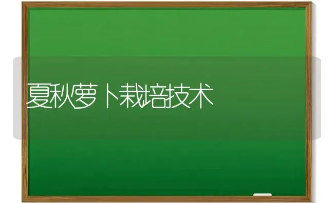 乌骨羊的饲养管理技术 | 家畜养殖