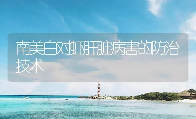 南美白对虾肝脏病害的防治技术 | 海水养殖