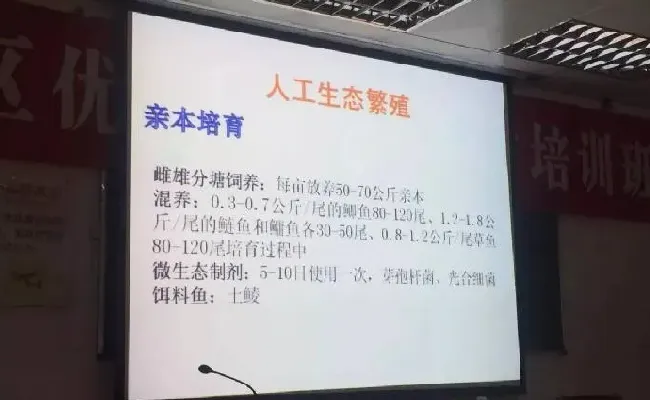 桂花鱼养殖技术培训班心得体会分享