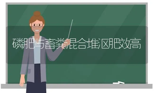 磷肥与畜粪混合堆沤肥效高 | 家畜养殖