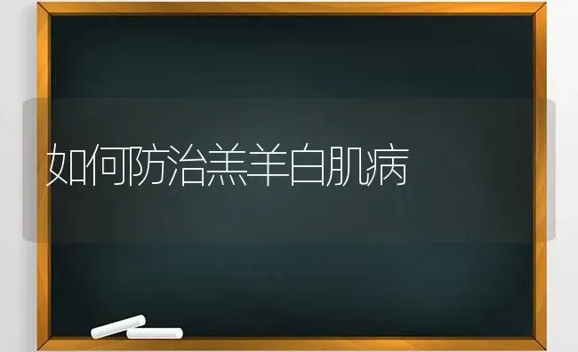 如何防治羔羊白肌病 | 家畜养殖