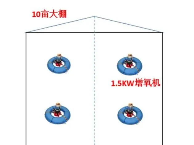 苏北罗氏沼虾养殖变革：大棚罗氏沼虾养殖显威力！