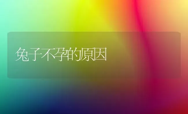 兔子不孕的原因 | 家畜养殖