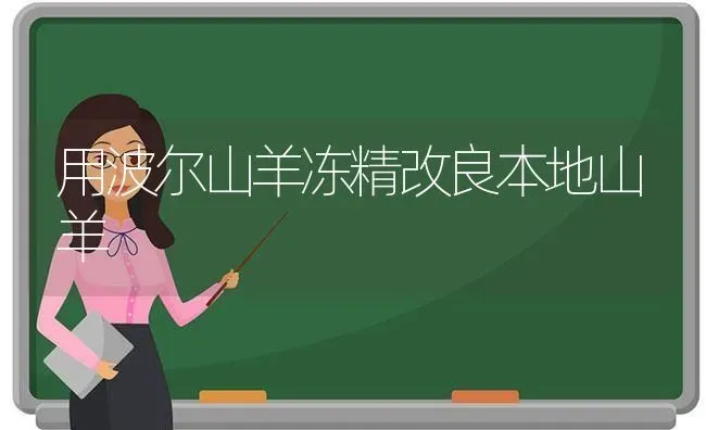 用波尔山羊冻精改良本地山羊 | 家畜养殖