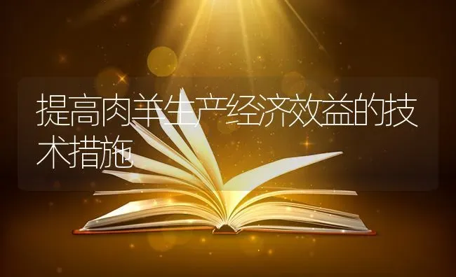 提高肉羊生产经济效益的技术措施 | 家畜养殖