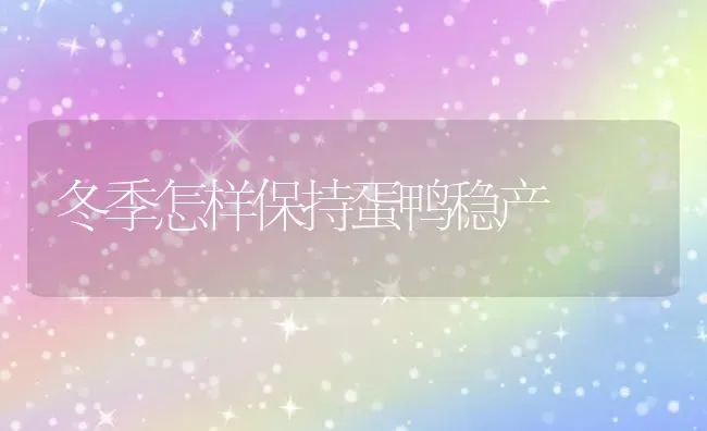 冬季怎样保持蛋鸭稳产 | 家禽养殖