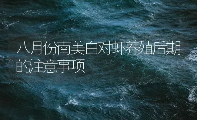 八月份南美白对虾养殖后期的注意事项 | 海水养殖