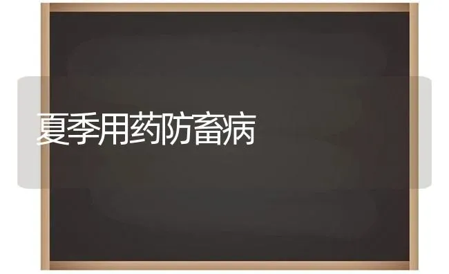 夏季用药防畜病 | 养殖病虫害防治