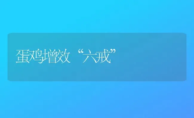 蛋鸡增效“六戒” | 家禽养殖