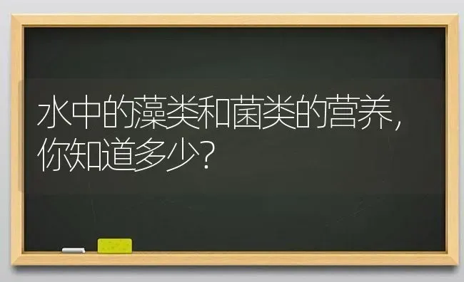 水中的藻类和菌类的营养，你知道多少？ | 动物养殖百科