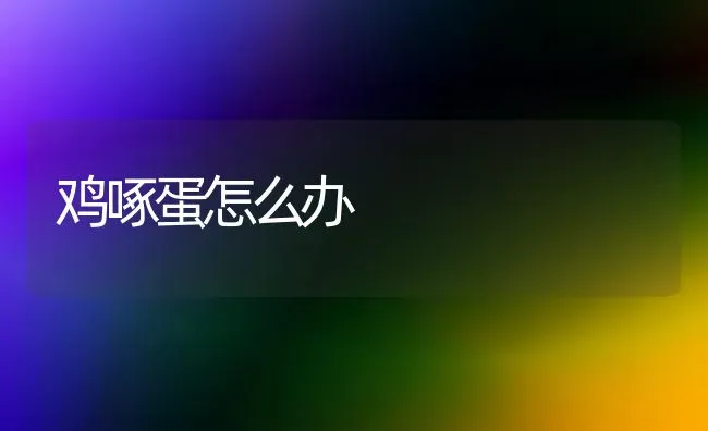 鸡啄蛋怎么办 | 家禽养殖