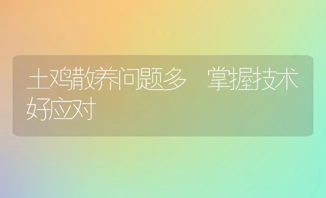土鸡散养问题多 掌握技术好应对 | 家禽养殖