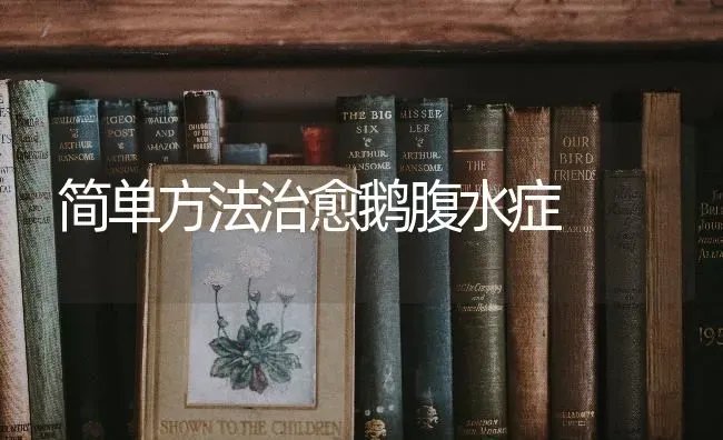 简单方法治愈鹅腹水症 | 家禽养殖