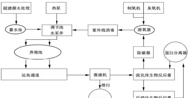 工厂化循环水养殖实现鱼菜(瓜果培育)共生，零售单价可达88元尾