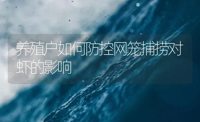 养殖户如何防控网笼捕捞对虾的影响 | 海水养殖