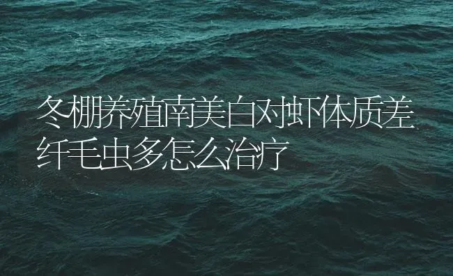 冬棚养殖南美白对虾体质差纤毛虫多怎么治疗 | 海水养殖