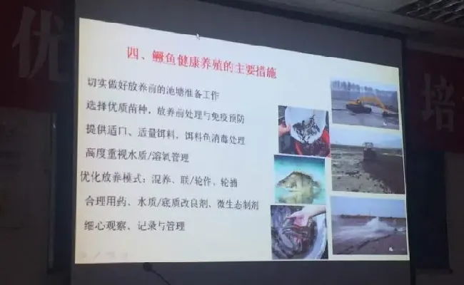 桂花鱼养殖技术培训班心得体会分享