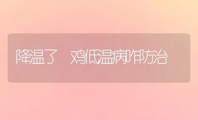 降温了 鸡低温病咋防治 | 家禽养殖