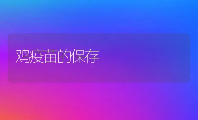 鸡疫苗的保存 | 家禽养殖