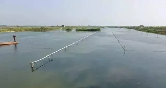 江淮地区雨季到来，谨防河蟹塘四大管理误区