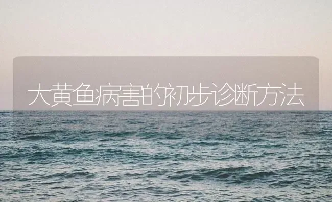 大黄鱼病害的初步诊断方法 | 海水养殖
