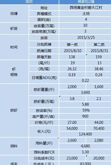 土塘养殖大规格南美白对虾其实也没那么难