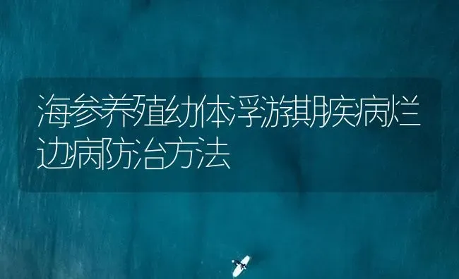 海参养殖幼体浮游期疾病烂边病防治方法 | 海水养殖