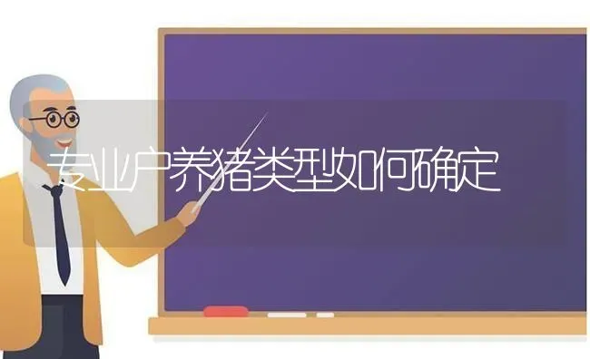 专业户养猪类型如何确定 | 家畜养殖
