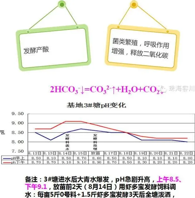 虾多宝在南美白对虾养殖过程中的作用介绍