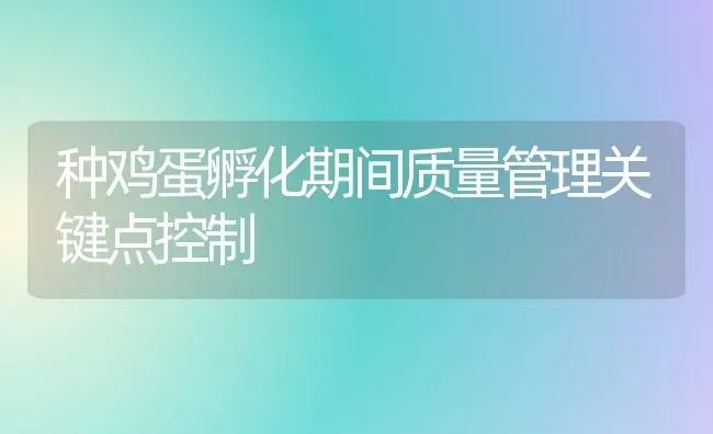 种鸡蛋孵化期间质量管理关键点控制 | 家禽养殖