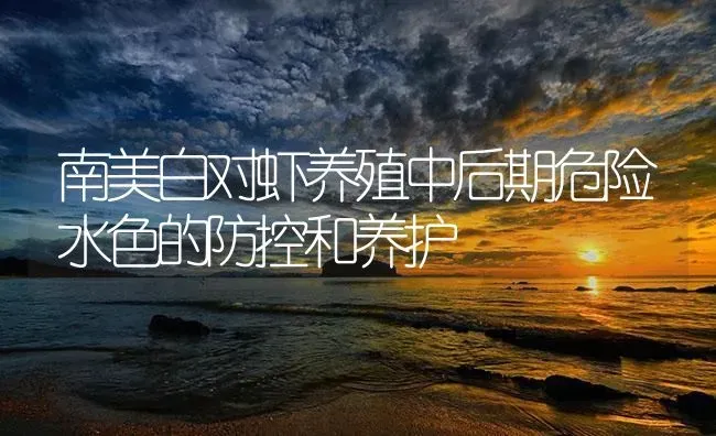 南美白对虾养殖中后期危险水色的防控和养护 | 海水养殖