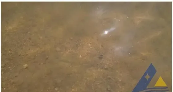 角毛藻引起的“豆腐花”水处理一例