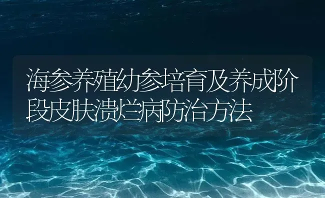 海参养殖幼参培育及养成阶段皮肤溃烂病防治方法 | 海水养殖