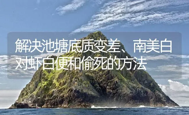 解决池塘底质变差、南美白对虾白便和偷死的方法 | 海水养殖