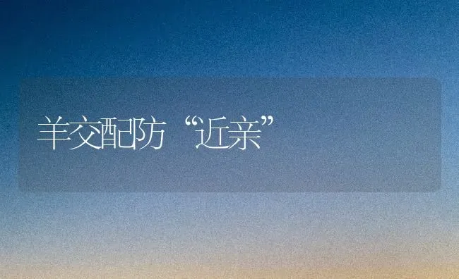 羊交配防“近亲” | 家畜养殖