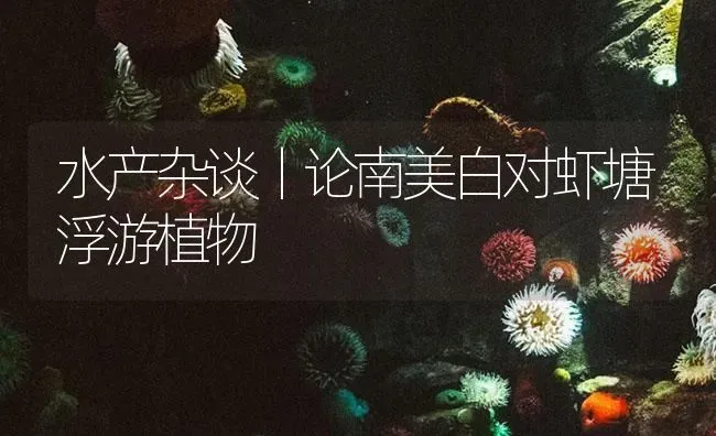 水产杂谈丨论南美白对虾塘浮游植物 | 海水养殖