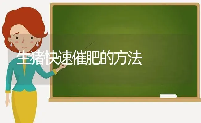 生猪快速催肥的方法 | 家畜养殖