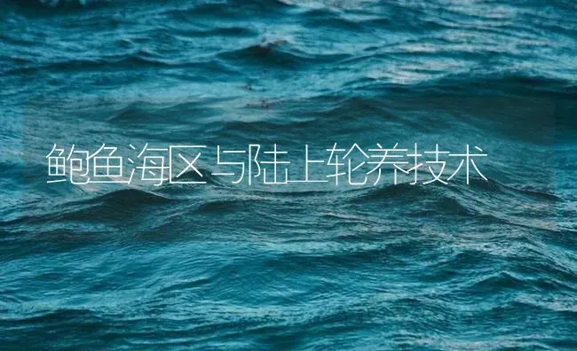 鲍鱼海区与陆上轮养技术 | 海水养殖