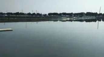 提肥做得好，预防青苔早，蟹农少点操心没烦恼