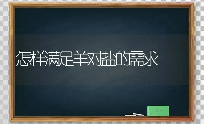 怎样满足羊对盐的需求 | 家畜养殖