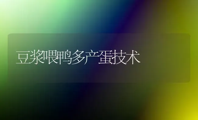 豆浆喂鸭多产蛋技术 | 家禽养殖