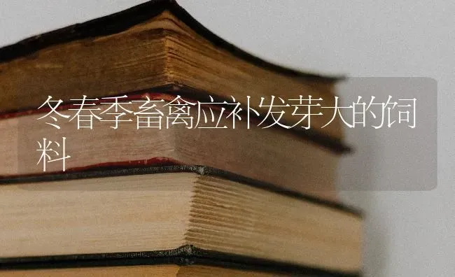 冬春季畜禽应补发芽大的饲料 | 动物养殖饲料