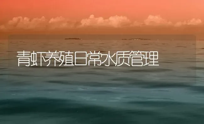 青虾养殖日常水质管理 | 海水养殖