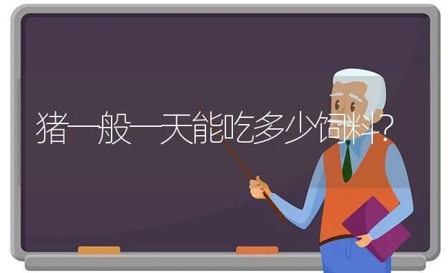 猪一般一天能吃多少饲料？ | 家畜养殖