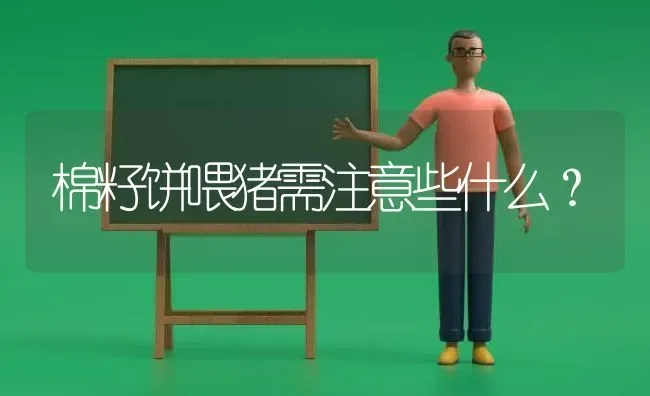 棉籽饼喂猪需注意些什么？ | 家畜养殖