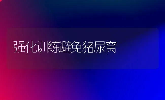 强化训练避免猪尿窝 | 家畜养殖