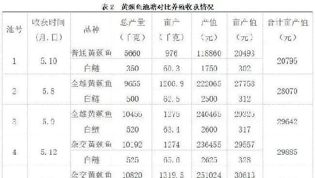 亩产值都过2万，三个品种的黄颡鱼池塘养殖分析，哪种盈利效果最好