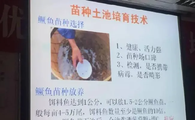 桂花鱼养殖技术培训班心得体会分享