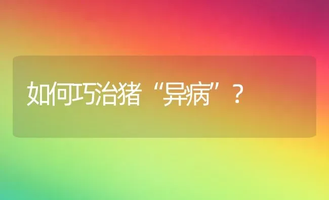 如何巧治猪“异病”？ | 家畜养殖